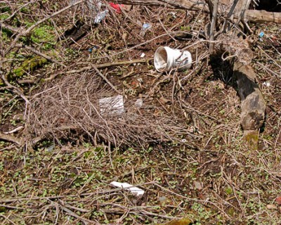 Trail Trash (Seen Elsewhere)